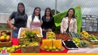 Gobierno Nacional impulsa producción agrícola en El Jarillo