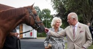 King Charles and Queen Camilla searching for jobseeker with eye for 'complex' issues