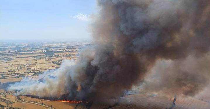 El gobierno español declara zonas catastróficas por incendios en 16 de las 17 comunidades autónomas