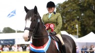 Celebrating eight stunning showing champions at Scone Palace