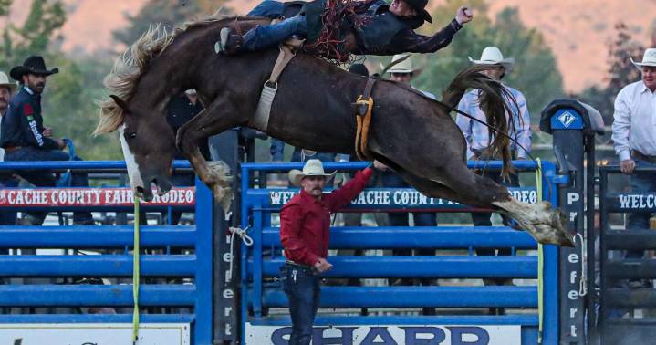 GALLERY: Cache County Fair and Rodeo
