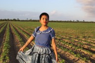 Catalina Santiago y el riesgo de deportación bajo DACA