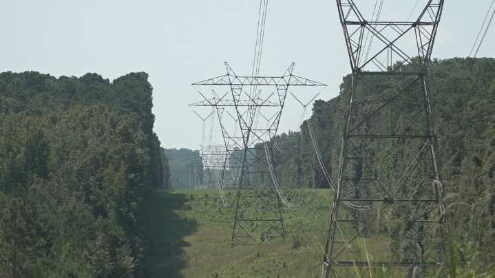 Monroe County landowners face eminent domain for new Oglethorpe power line project