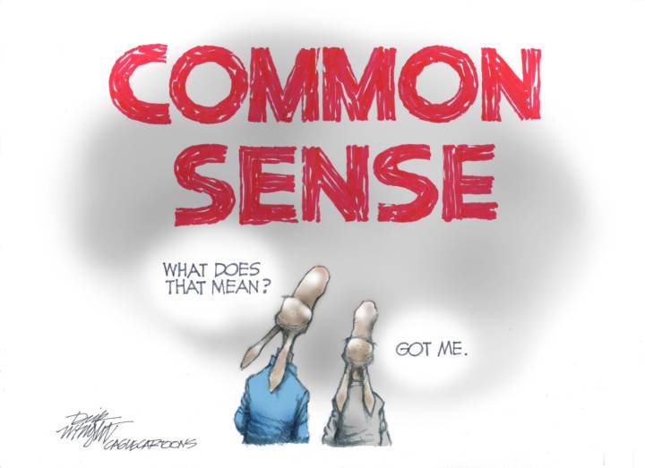 Local View: Common sense always seems to be in short supply