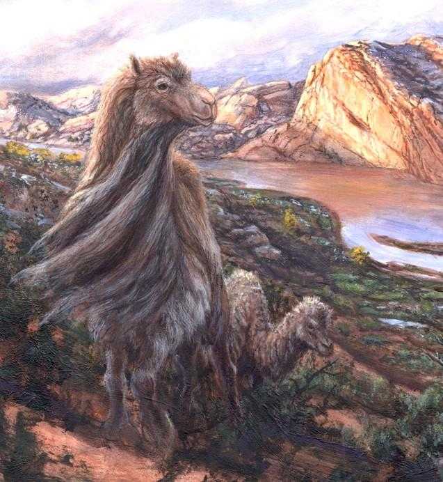 Ancient Camel Bone Found Near Vernal 40 Years Ago Still Teaching Scientists