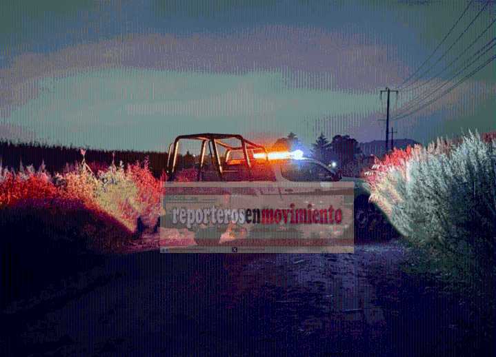 ABANDONAN RESTOS HUMANOS EN UN CAMINO DE TERRACERÍA EN LOS LÍMITES DE ALMOLOYA DE JUÁREZ Y TOLUCA