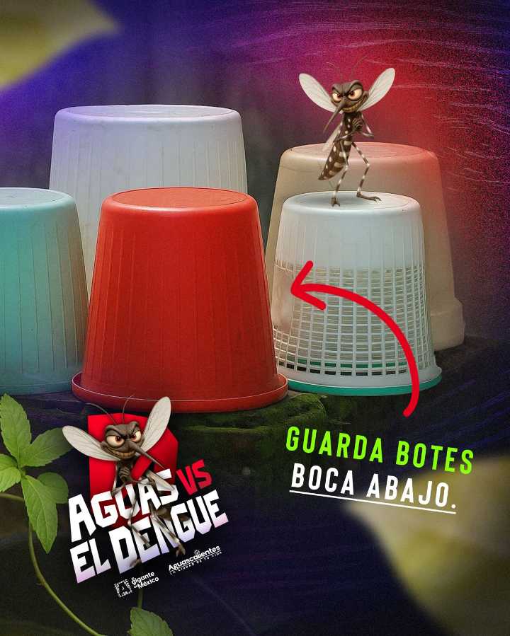 Elimina riesgos de dengue