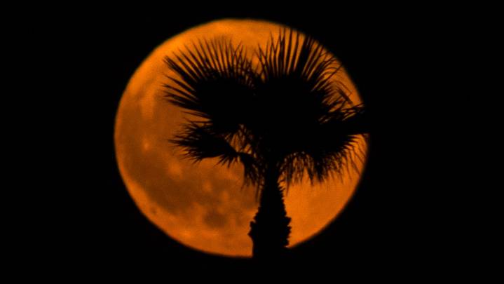 See when August full moon rises across California, viewing conditions