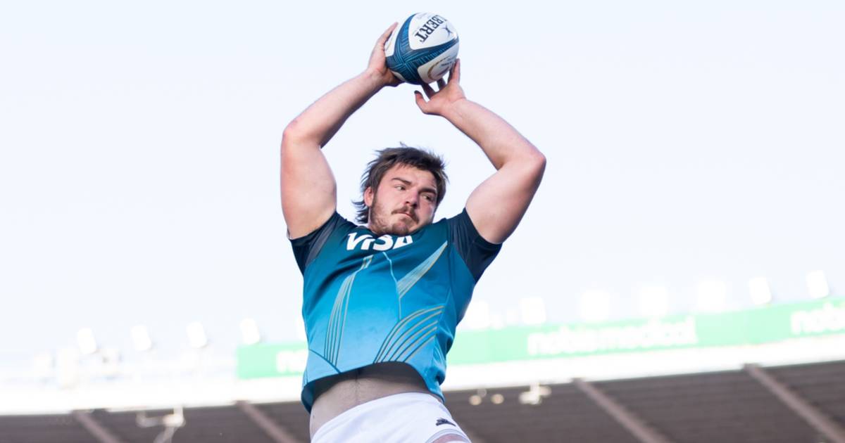 Los Pumas EN VIVO: debut en el Rugby Championship frente a los All Blacks, mirá el minuto a minuto