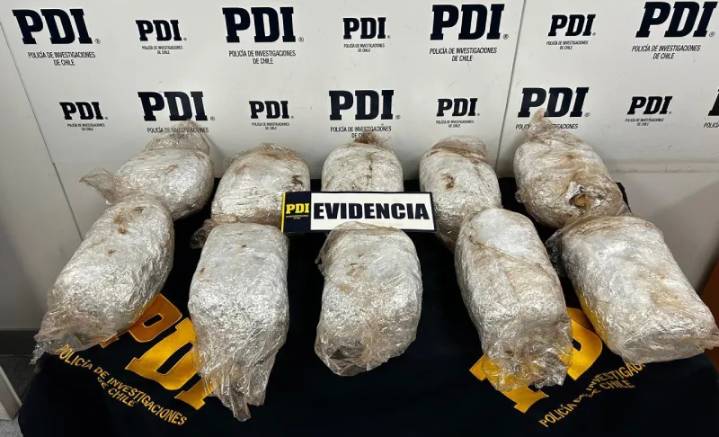 Fiscalía formaliza investigación por tráfico de más de 11 kilos de cannabis hacia Puerto Aysén