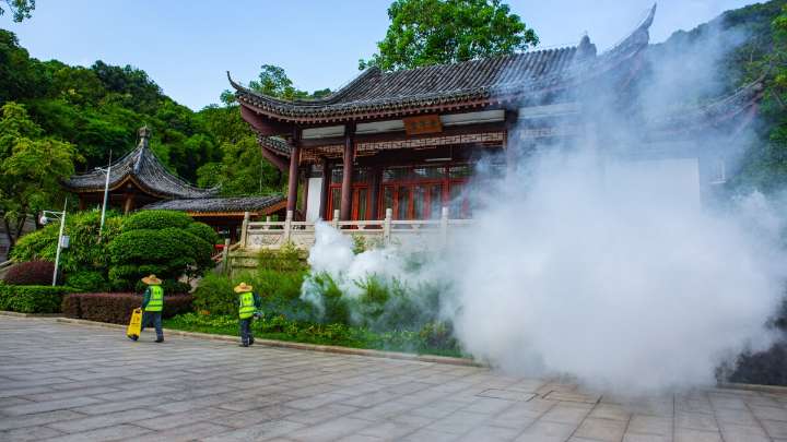 China has declared war on the chikungunya virus. How much of a threat is it?