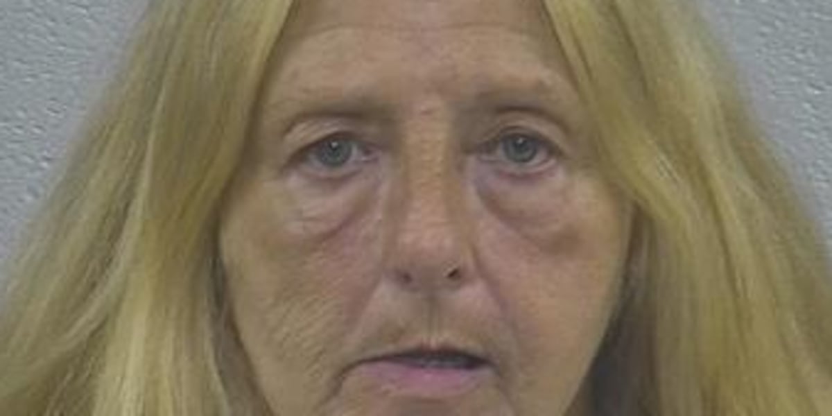 Woman arrested after making false report