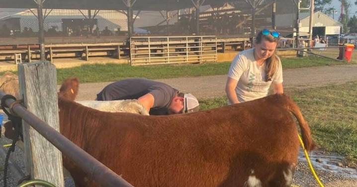 The Livestock Skill-a-thon returns to the Jefferson County Fair