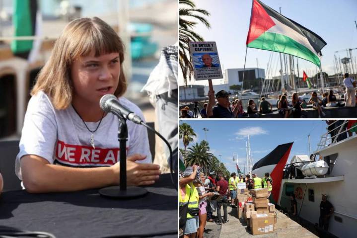 Greta Thunberg joins fleet to bring aid to Gaza, hopes to break Israel's naval blockade