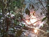 Cuatro muertos al caer una avioneta sanitaria en la selva colombiana