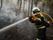 Villanueva del Rey: incendio del sábado bajo control según Plan Infoca