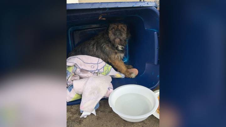Woman Sees Taped-Up Tote Bag Abandoned Near Michigan Road, Then Discovers Something Shocking