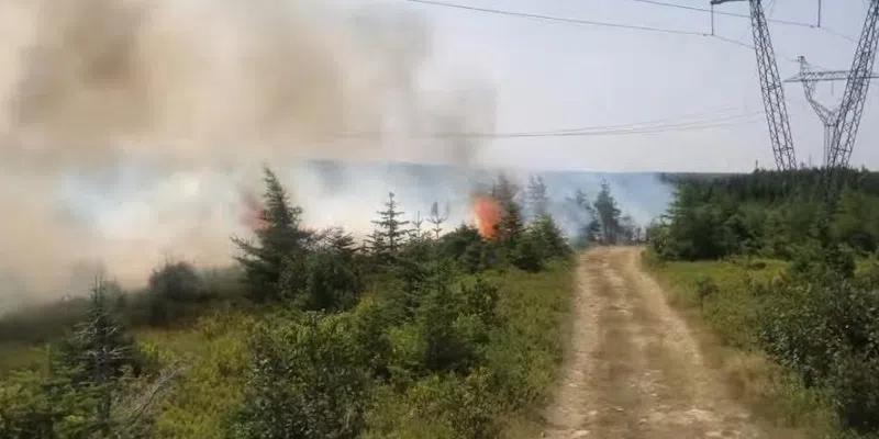 RNC Investigating Paddy’s Pond Fire