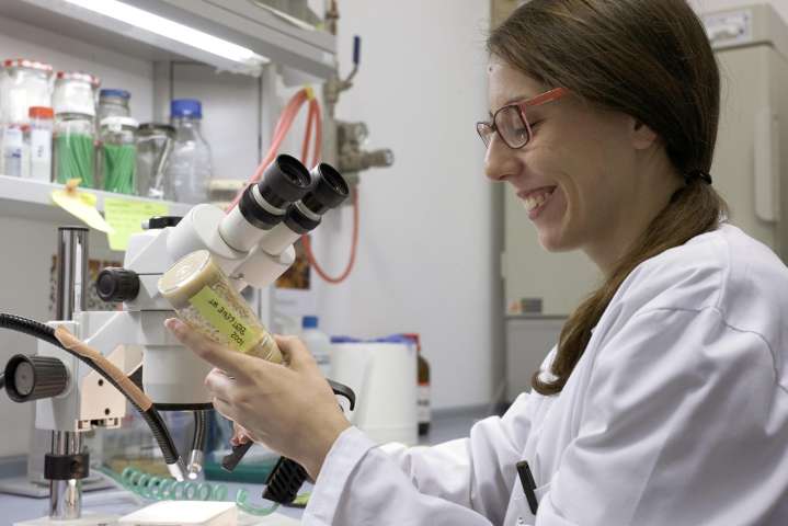 Anna Castells, experta en microbiota: los probióticos nos ayudarán a prevenir la depresión