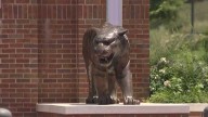 Clemson and LSU work together to save their mascots in the wild