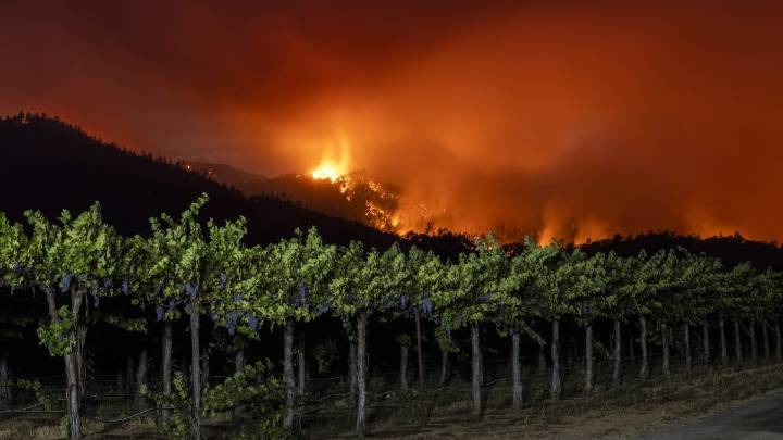 Examining possible cause of the Napa County Pickett Fire