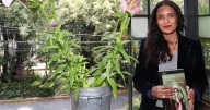 El lenguaje de los sueños contra la “necropolítica”: Alma Delia Murillo da voz a los desaparecidos
