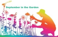 September in the Garden for Central Florida
