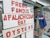 ‘Limited’ oyster harvesting eyed in Apalachicola Bay