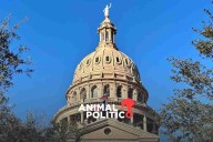 Texas cambia su mapa electoral para dar ventaja a Trump; demócratas contrarrestan en California
