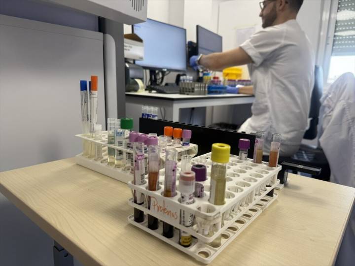 La Junta detecta circulación del virus del Nilo en mosquitos en Lebrija