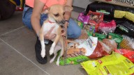 Promueven la adopción y apoyo a refugios en el tercer Croquetón Estatal 2025