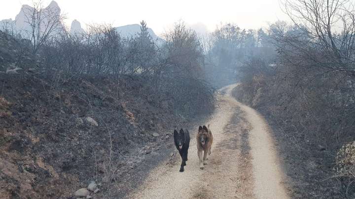 Las fotos más impactantes del incendio que ha calcinado por completo Médulas