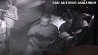 San Antonio man charged in 2018 live shark theft now linked to string of other crimes