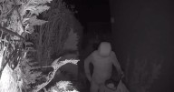 West Lothian woman catches hooded intruder 'violating' home in middle of night
