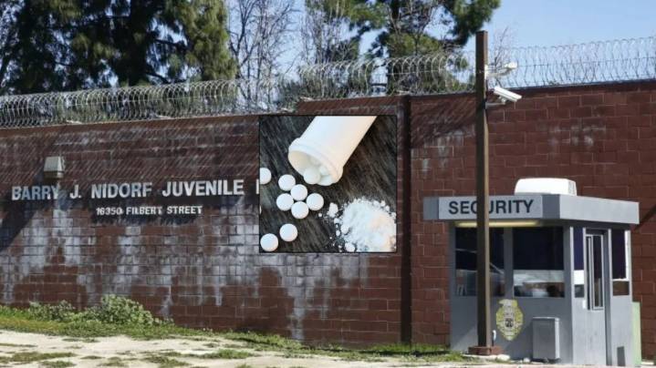 Woman, 41, charged in alleged attempt to bring fentanyl into L.A. juvenile hall