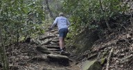 $500,000 grant will help Old Fort organization build, revamp miles of trails in western NC