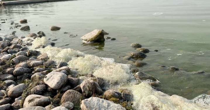 Idaho health officials warn residents to avoid lakes with harmful algal blooms