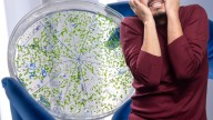Alerta por bacteria carnívora en mariscos por aumento de muertes y contagios