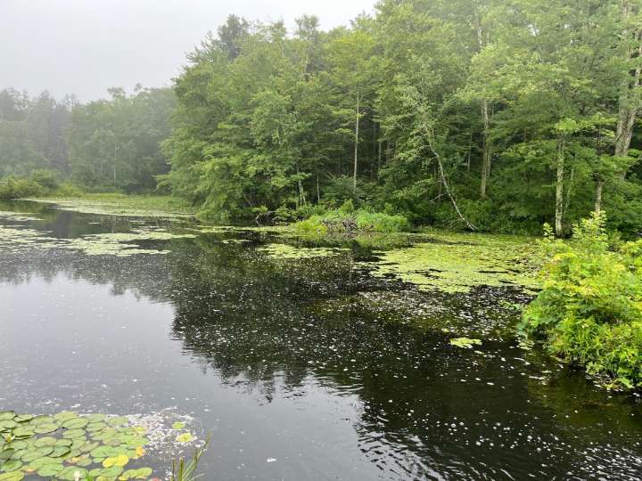 Missing man found dead after his overturned canoe discovered