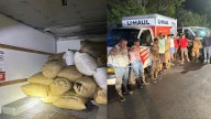 Florida saw palmetto berry bust leads to 11 arrests and seizure of 6,000