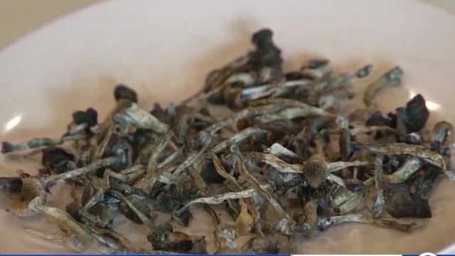 University of New Mexico researcher participates in psychedelic clinical trial