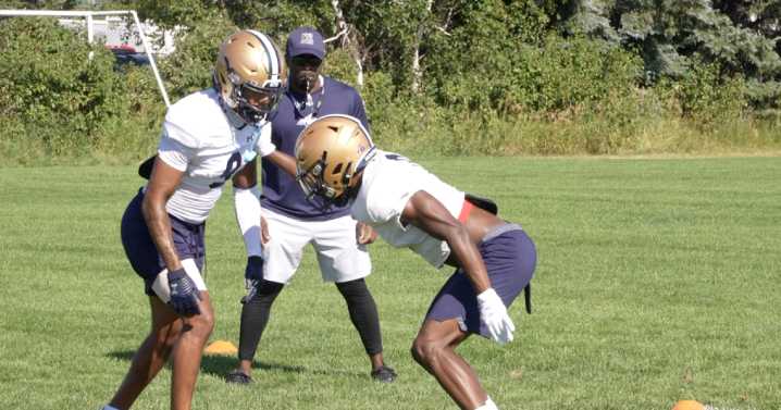 Youth, hunger and speed: Montana State defensive backs ready to make jump