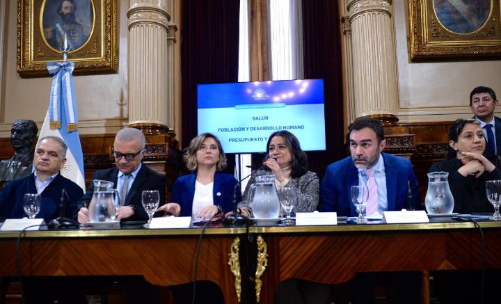 Senado dictaminó la emergencia en pediatría: el apoyo opositor complicó la estrategia del Gobierno en la Cámara alta