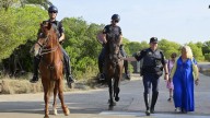 Valencia intensifica la vigilancia del bosque de El Saler en los días finales de verano para prevenir posibles incendios
