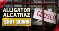 Top Florida official says 'Alligator Alcatraz' will likely be empty within days, email shows