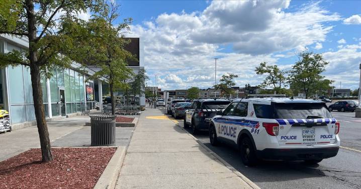 Man charged in connection to stabbing of elderly woman at Ottawa grocery store