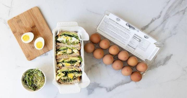 5 ways to support your gut health for the fall season
