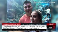 Peruvian Police Detain Husband Accused of Murdering Wife in California