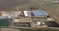 6 dead, including a high school student, in 'accident' at a Colorado dairy