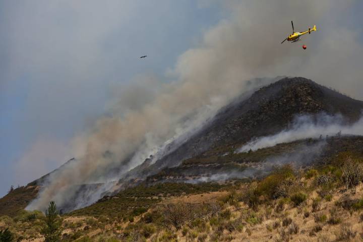 Última hora de los incendios en España, en directo | Mañueco: “Lo que ha pasado es demasiado importante como para hacer cálculos políticos”
